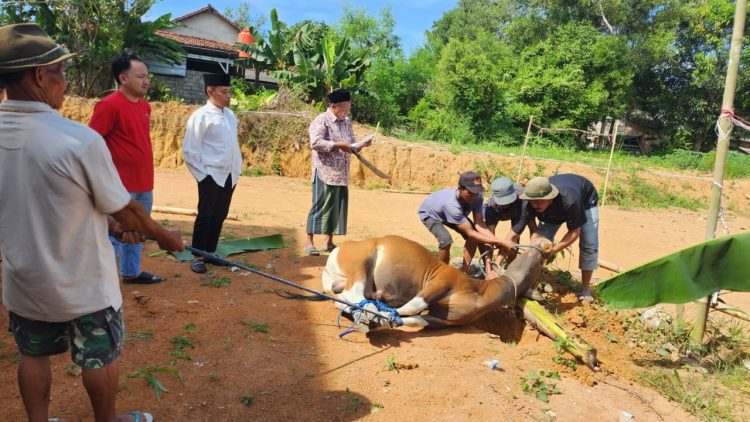BPN Mesuji Gelar Kurban Idul Adha, Pererat Kebersamaan dan Tebar Kepedulian