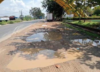 Bahu Jalan Rest Area Wates Rusak Parah, Wakil Rakyat Desak Perbaikan Demi Wajah Pringsewu