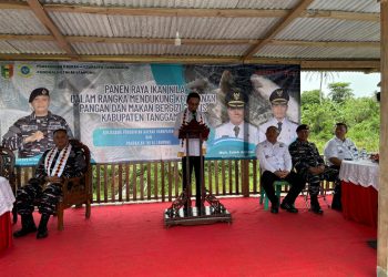 Panen Raya Ikan Nila di Tanggamus, Bukti Kuat Sinergi TNI AL dan Pemkab untuk Ketahanan Pangan