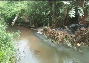 PWRI Lampung Utara Desak DLH Tindak Tegas Pabrik Buang Limbah Sembarangan