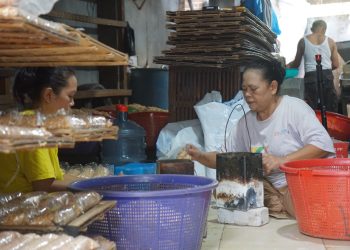 Pengrajin Tempe Siap Dukung Program Makan Bergizi Prabowo-Gibran: Produksi Naik, Harga Tetap Bersahabat