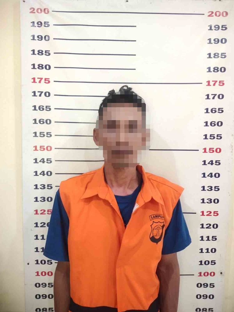 Curanmor Sapi Terbongkar! Tekab 308 Kalianda Bekuk Pelaku, Satu Ekor Sapi Metal Diamankan