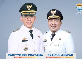 Lampung Selatan Torehkan Prestasi, Kepuasan Publik Capai 81,74 Persen di Semester Pertama 2025