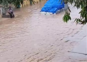 Hujan Deras Picu Banjir di Pardasuka, Tiga Desa di Pringsewu Terendam