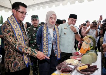 Kemenko PM Apresiasi Program Desaku Maju: Lampung Bangun Ekosistem Ekonomi Desa dari Akar Rumput