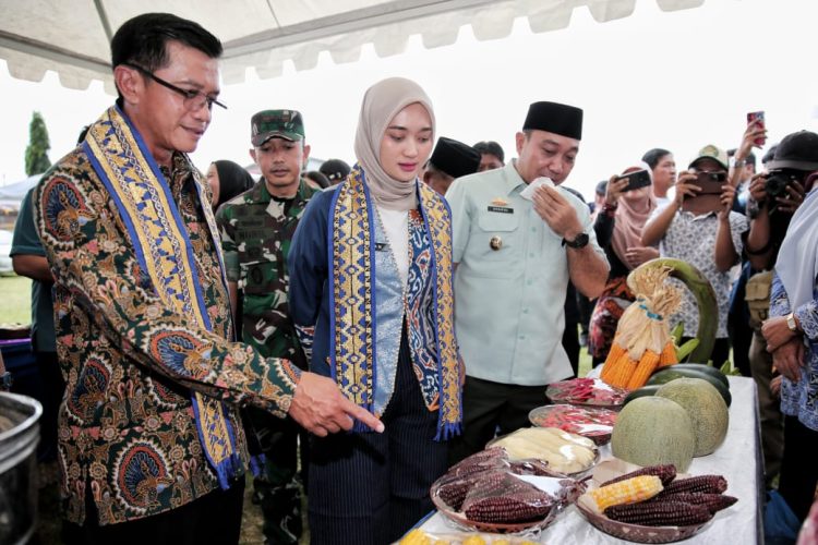 Kemenko PM Apresiasi Program Desaku Maju: Lampung Bangun Ekosistem Ekonomi Desa dari Akar Rumput