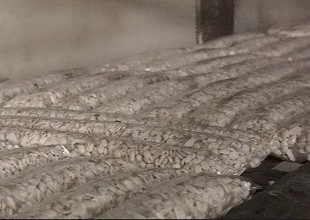 Tempe Sehat Sutikno: Dari Kegigihan 20 Tahun Hingga Siap Suplai Menu Bergizi Gratis di Bandar Lampung