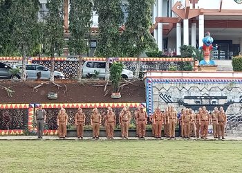 Apresiasi Digitalisasi, Bupati Tanggamus Soroti Lonjakan Stunting: “Ini Wajah Masa Depan Anak Kita!”