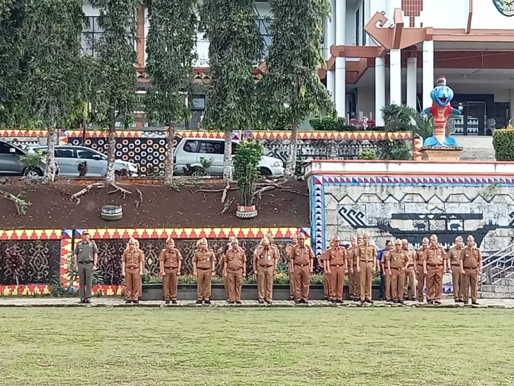 Apresiasi Digitalisasi, Bupati Tanggamus Soroti Lonjakan Stunting: “Ini Wajah Masa Depan Anak Kita!”