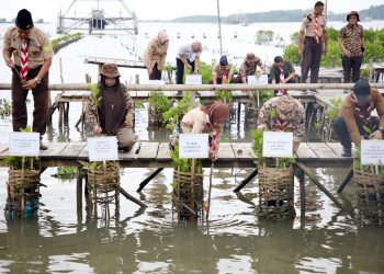1.000 Bibit Mangrove Ditanam di Cuku Nyi-Nyi Pesawaran