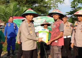 Tanam Jagung, Rawat Ketahanan Pangan: Polres Pesawaran Turun Langsung ke Sawah!