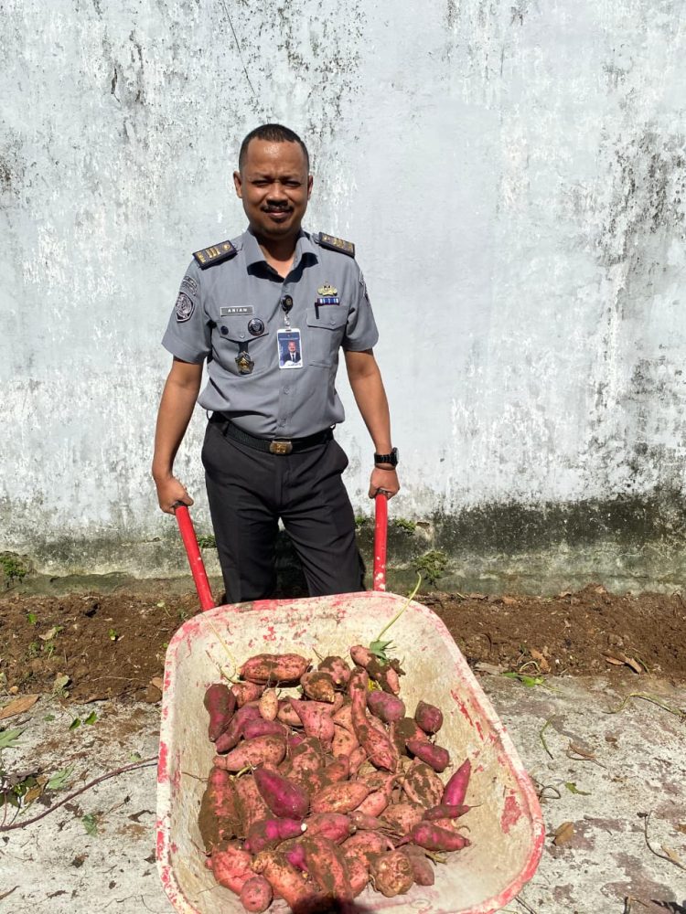Hijaukan Harapan: Lapas Kalianda Giatkan Ketahanan Pangan Lewat Budidaya Tomat dan Terong