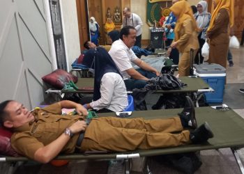 Semarak HUT ke-64 IKWI Lampung: Donor Darah, Cek Kesehatan, dan Suara Lantang Lawan KDRT