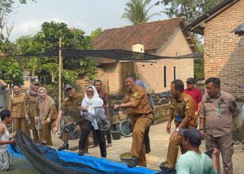 Tim TPID Kabupaten Tanggamus Tinjau Panen Ikan Lele Di Pekon Way Jaha Kecamatan Pugung