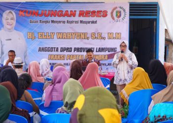 Dewan Elly Wahyuni Serap Aspirasi Warga Way Ratai, Fokus pada Perbaikan Jalan dan Jembatan