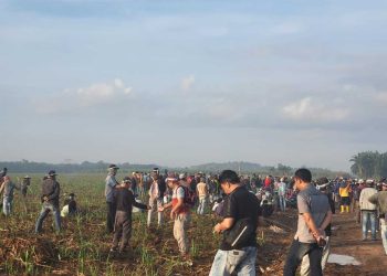 Di Hari Kemerdekaan, Warga Anak Tuha Tanami Lahan Sengketa PT BSA