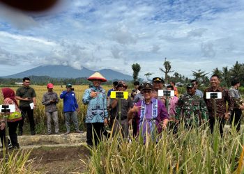Wabup Tanggamus Agus Suranto Hadiri Panen Raya Padi Organik di Talang Padang