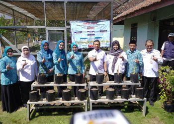 Ketua TP PKK Provinsi Lampung Kunjungi Pringsewu, Dorong Penguatan Desa Tapis Menuju Indonesia Emas 2045