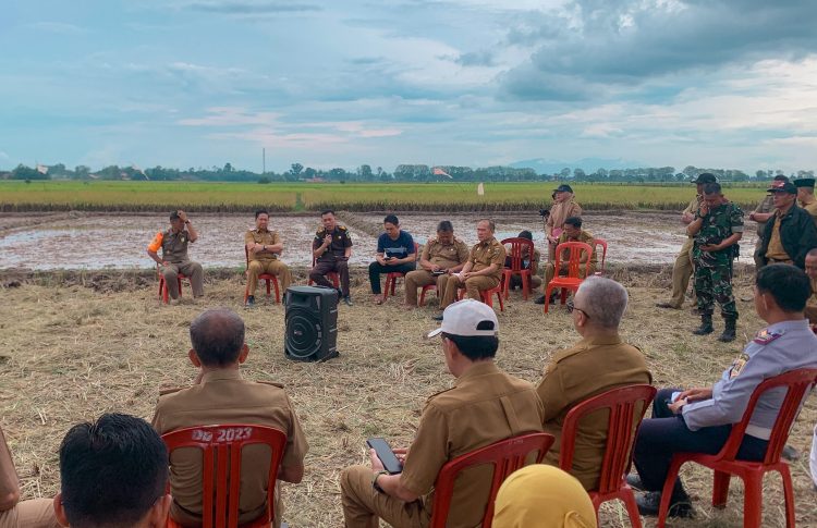 Sekretaris Daerah Lampung Tengah Pimpin Rapat Lanjutan Persiapan Launching Program Petani Mitra Adhyaksa MT III di Gapoktan Sumber Makmur