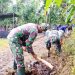 Karya Bakti TNI di Desa Trimulyo Bangun Jalan dan Sarana Olahraga