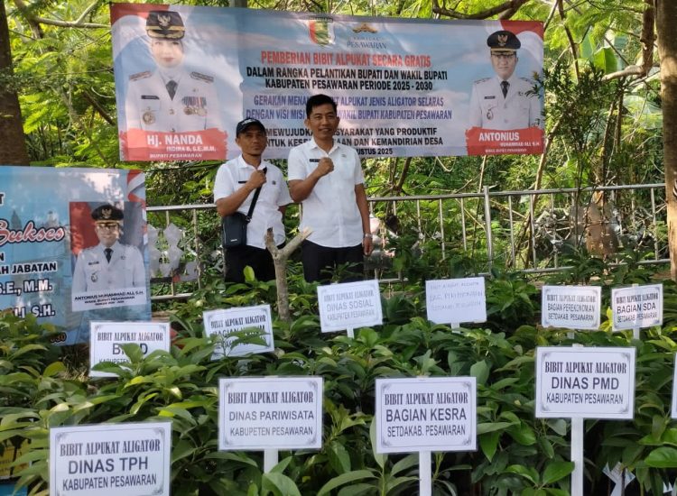 Pemkab Pesawaran Bagikan 700 Bibit Alpukat Aligator untuk Dorong Ketahanan Pangan dan Pemberdayaan Petani