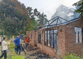 Kebakaran Hebat Ludeskan Rumah Warga Pringsewu, Diduga Ulah Anak dengan Gangguan Jiwa