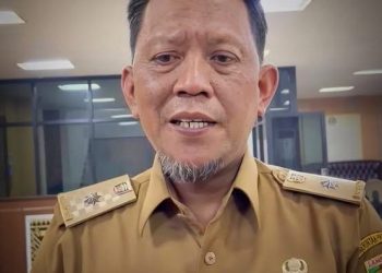 Pemprov Lampung Bersinergi dengan Pemkab Tanggamus Atasi Jembatan Rawan di Pekon Tampang Muda