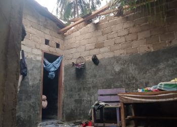 Pohon Roboh Tertimpa Rumah Warga Gebang, Bupati Pesawaran Turun Tangan Langsung