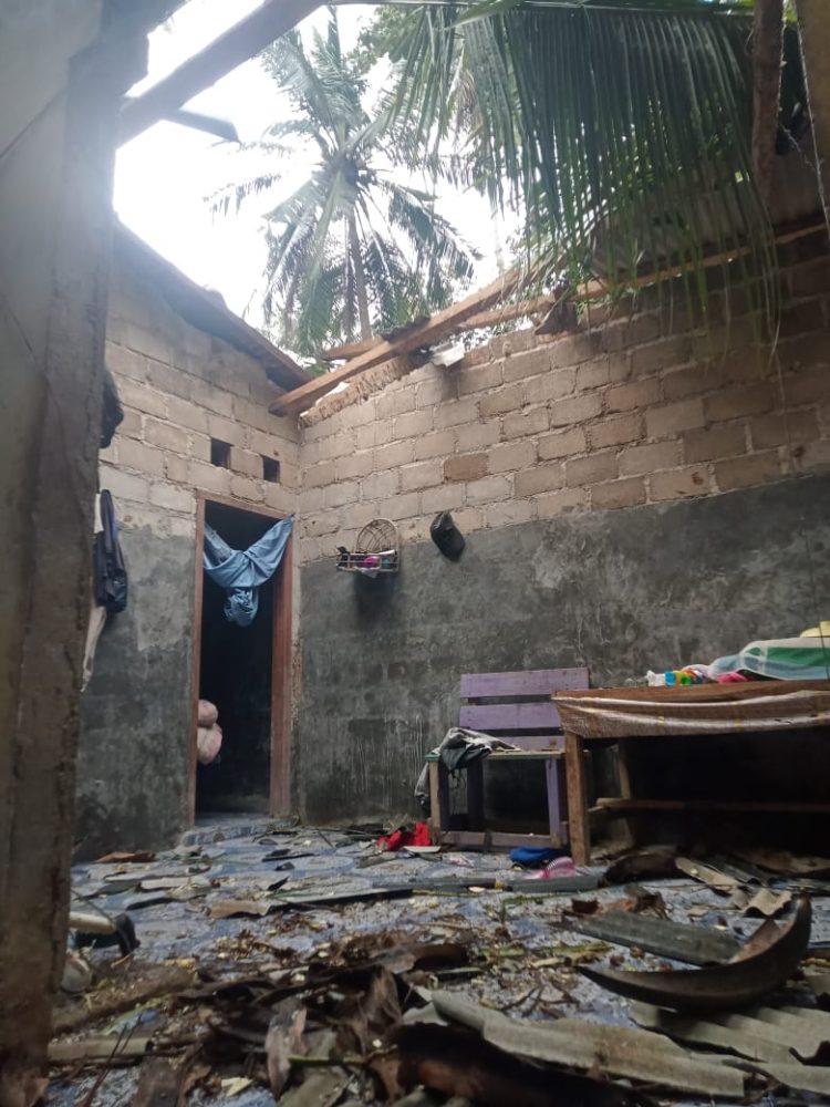 Pohon Roboh Tertimpa Rumah Warga Gebang, Bupati Pesawaran Turun Tangan Langsung