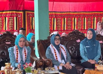 Ketua TP PKK Lampung Bawa Harapan Baru ke Pekon Kacapura: Bantuan Ekonomi, Sembako, hingga Kursi Roda untuk Warga