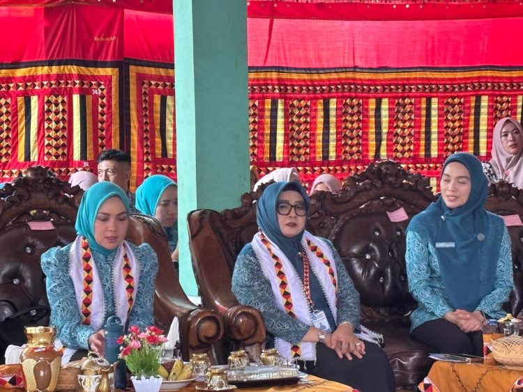 Ketua TP PKK Lampung Bawa Harapan Baru ke Pekon Kacapura: Bantuan Ekonomi, Sembako, hingga Kursi Roda untuk Warga