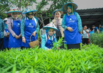 Desa TAPIS Resmi Hadir di Tanggamus, PKK Lampung Dorong Kesejahteraan Keluarga dari Akar Desa