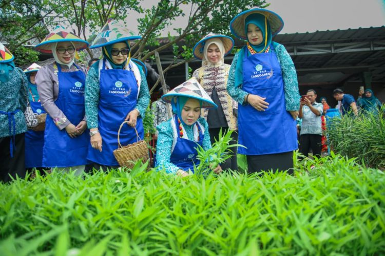 Desa TAPIS Resmi Hadir di Tanggamus, PKK Lampung Dorong Kesejahteraan Keluarga dari Akar Desa
