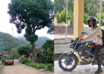 Polisi Polsek Semaka Viral, Bantu Ibu Hamil Ambil Mangga Tinggi di Tanggamus
