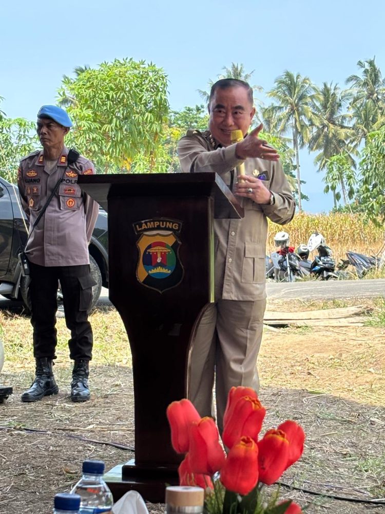 Polres Tanggamus Panen Jagung Kuartal III, Bupati dan Forkopimda Turut Hadir, Petani Dapat Bantuan Beras