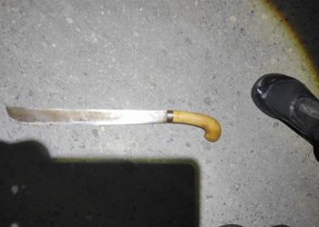 TEGANGAN RUMAH TANGGA BERAKHIR TRAGIS! Sindiran Maut di Pringsewu: Kakak Ipar Tewas Mengenaskan di Tangan Adik Sendiri!