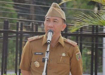 Lampung Perkuat Kemitraan Petani dan Industri Tapioka, Hadapi Tekanan Harga Global