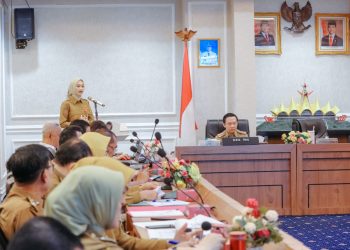 Kemenpan RB Apresiasi Langkah Nyata Pemprov Lampung Wujudkan Birokrasi Modern Melalui Implementasi SAKIP