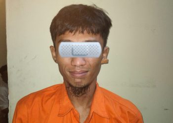 Heboh! Warga Pugung Kembali Tersandung Kasus Pencurian di Pringsewu, Polisi Amankan Pelaku