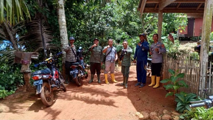Polsek Pematang Sawa dan Polhut Turun Tangan Pasca Dua Kambing Dimangsa Beruang, Warga Dihimbau Waspada
