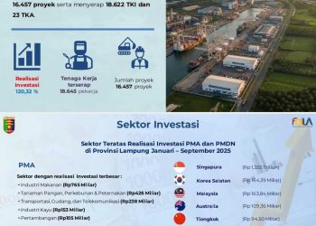 Lampung Jadi Magnet Baru Investor: Ekonomi Tumbuh, Industri Menggeliat, dan Hilirisasi Digenjot