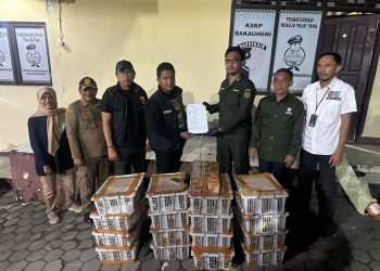 Heboh di Pelabuhan Bakauheni! Ratusan Burung Liar Disita Polisi dan BKSDA Lampung