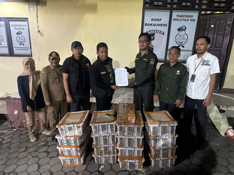 Heboh di Pelabuhan Bakauheni! Ratusan Burung Liar Disita Polisi dan BKSDA Lampung