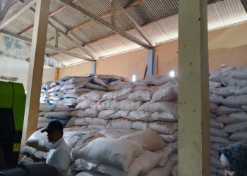 Dinas Pertanian Pringsewu Perketat Pengawasan Harga Pupuk: Pengecer Nakal Terancam Ditutup