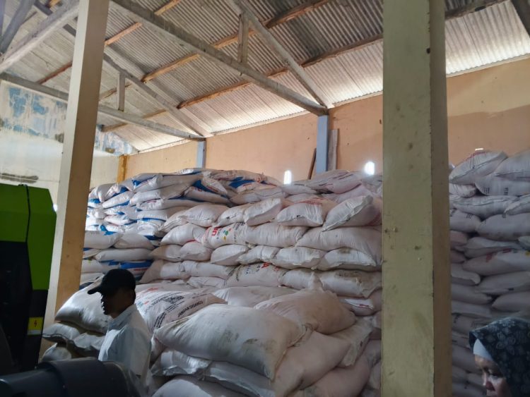 Dinas Pertanian Pringsewu Perketat Pengawasan Harga Pupuk: Pengecer Nakal Terancam Ditutup