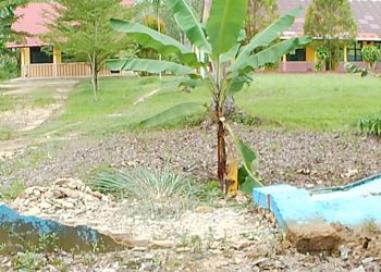 Hari Sabtu SD 3 Rejomulyo Jati Agung Libur, Pagar Rubuh dan Sekolah Kosong