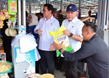 Menko Pangan dan Mendag RI Pantau Harga dan Stok Pangan di Lampung Selatan