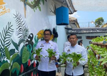 Pakcoy Menghijau di Balik Tembok Lapas: Program Hidroponik Kalianda Jadi Sorotan, Buktikan Pembinaan Berbuah Nyata