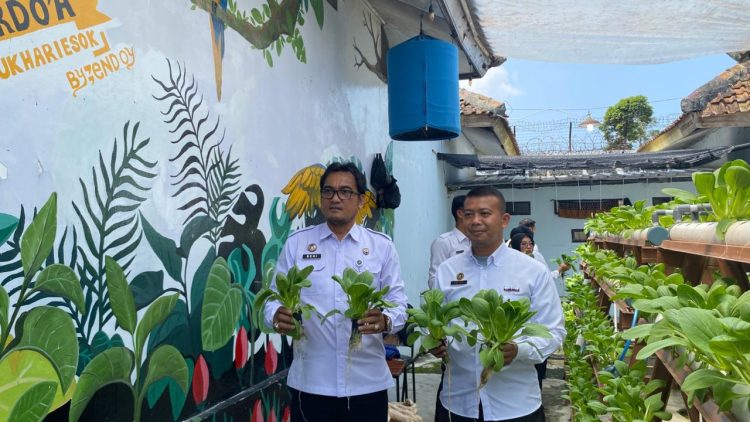 Pakcoy Menghijau di Balik Tembok Lapas: Program Hidroponik Kalianda Jadi Sorotan, Buktikan Pembinaan Berbuah Nyata