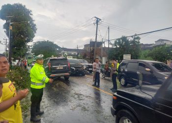 BREAKING: Hujan Deras + Angin Kencang, Pohon Mahoni Tumbang Timpa Pajero di Gadingrejo!